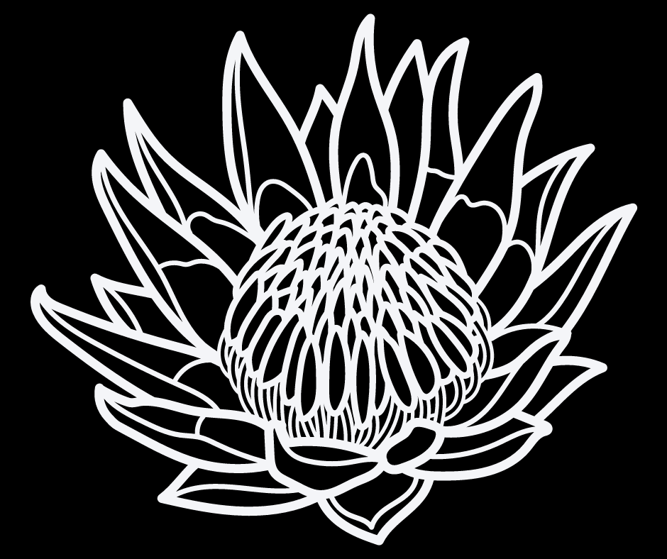 Protea